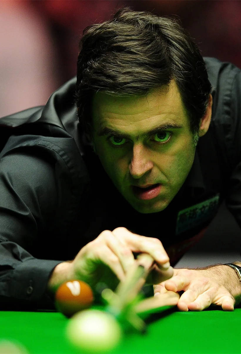 我们看到了 我们看到了