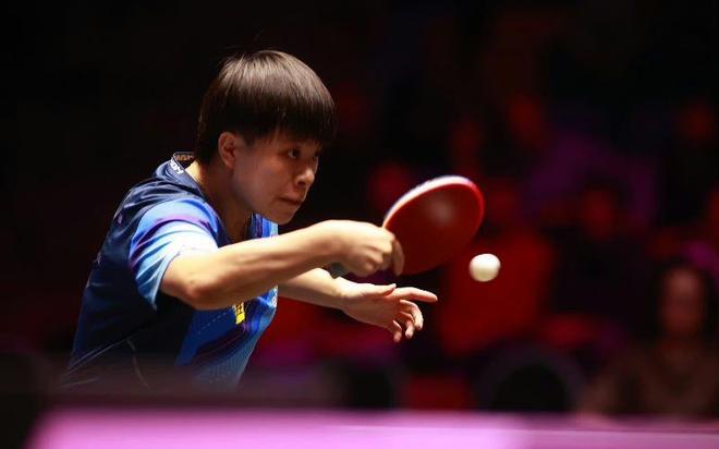 高水平的专 高水平的专