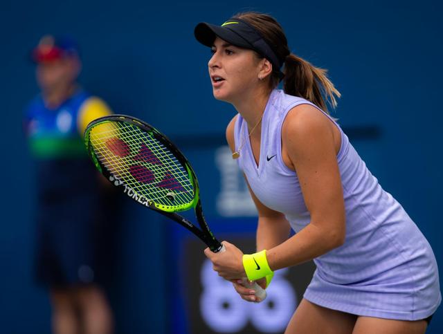 智慧赢得了 智慧赢得了