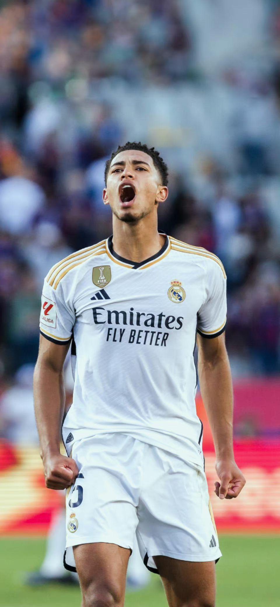 像的情感共 像的情感共